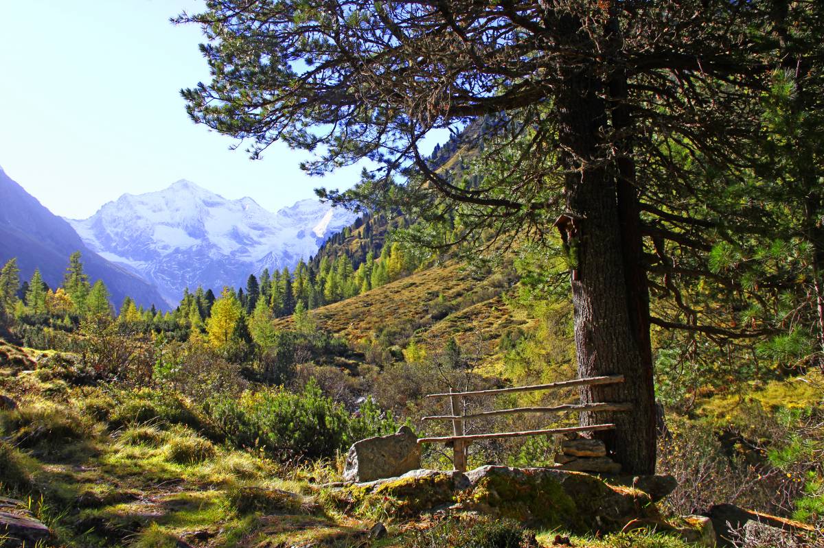 TYROLEAN MOUNTAIN CULTURE _ ON POINT. - Hotel wöscherhof