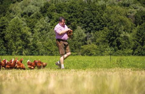 We’re also farmers - Hotel wöscherhof