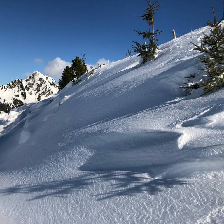 Ski tours  - Hotel wöscherhof