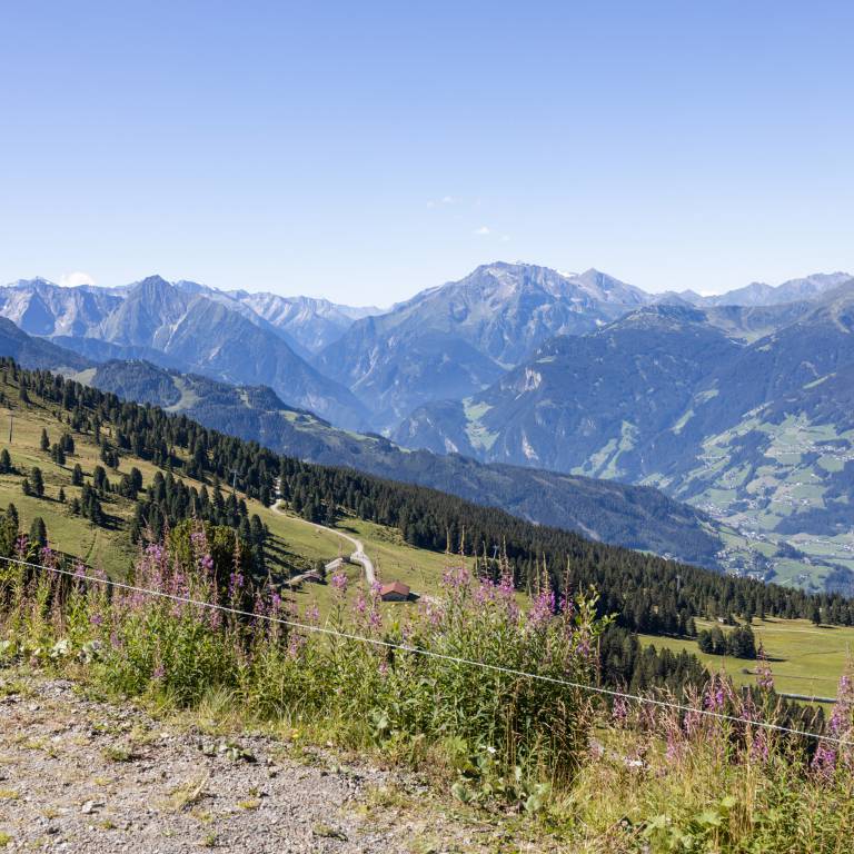 Mountain air makes people feel happy - Hotel wöscherhof