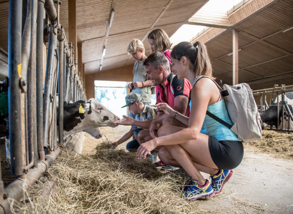 Hotelier & Landwirt – eine wunderbare Ergänzung - 4* Superior Hotel